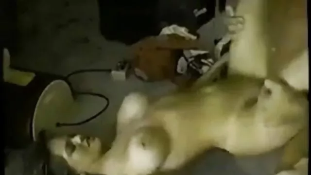 Nóng khiêu dâm, không giấy đăng ký  Một mỏng manh, cô gái mỏng nhẹ nhàng của phim sex ko che moi nhat hồng nứt. Khi bạn trai cô từ trường về nhà và thấy mình trần truồng, ổng đã không thể cưỡng lại và đi âm hộ của cô.